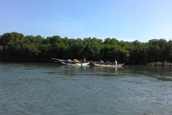 Authentic Traditional Fish Market in Negombo