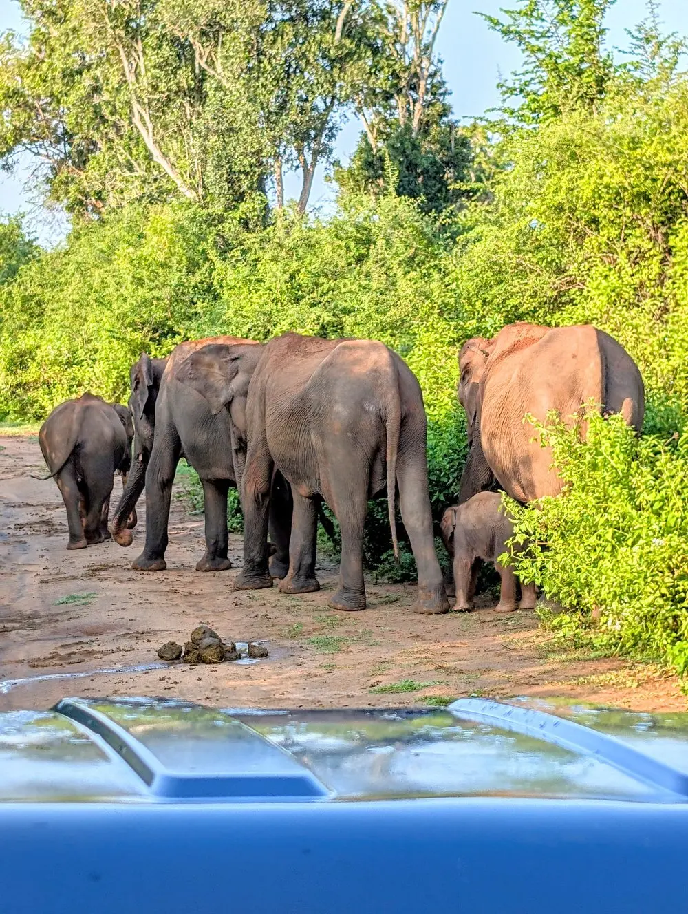 Luxury Safari Tent Interior